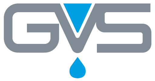GVS